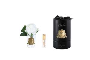 Perfumed Flowers: NEW Rose Bud - Clear Glass - White - Gold Badge/Black Box - RMR41