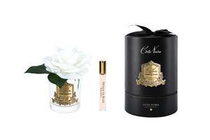 Perfumed Flowers: New Single Rose - Clear Glass - Ivory White Gold/Black Box - RMR01