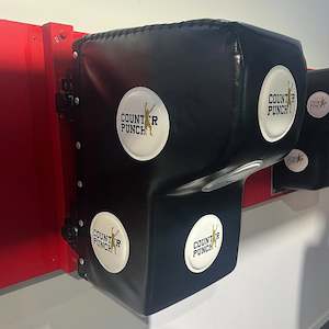 Adjustable Wall Mounted Accuracy Boxing Bag