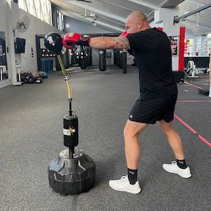 Boxing Bags: Cobra Reflex Boxing Bag (bonus ball)