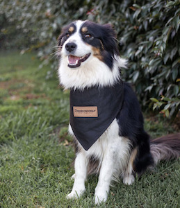 Pets: Dog Scarf - Elevate Your Pup's Style and Comfort