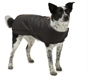 Winter Oilskin Dog Coat