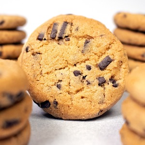 Products: Super Choc Chip Biscuit Bites - Coupland's Bakeries