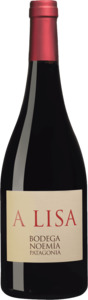 Wine: Bodega Noemia A Lisa Malbec