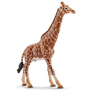SC Giraffe Male (Grey Dot)