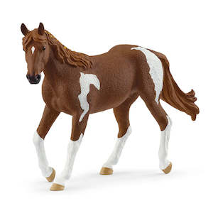 SC Paint Horse Mare 2025 (Grey Dot)