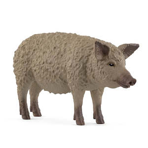 SC Mangalica (Red Dot)