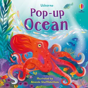 Non Fiction: Pop Up Ocean