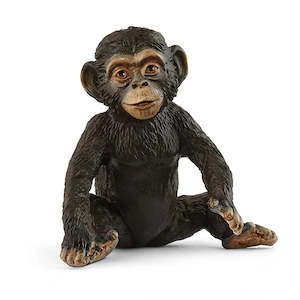 SC Chimpanzee Cub 2025 (Green Dot)