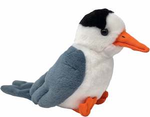 Nz Animals: Fairy Tern Sound Bird