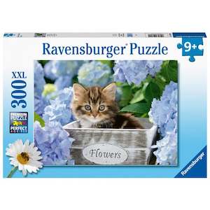 Puzzles: RB Tortoiseshell Kitty 300pc