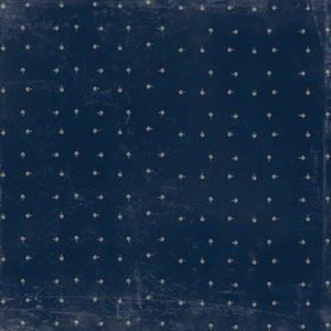 P2769 : Journey 12x12 Scrapbook Paper - Adventurer