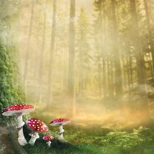 Kaisercraft Enchanted July 19: P2787 : Enchanted 12x12 Scrapbook Paper - Fairytale