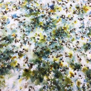 Coloured Stain Infusions: Infusions 15m -  CS16 Olive Tree