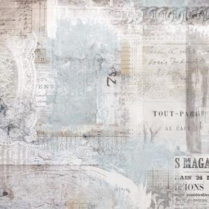 Kaisercraft Lady Like November 19: Kaisercraft : P2875 - Lady Like 12x12 Scrapbook Paper - Pearl