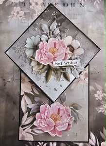 Cardmaking Kits No Instructions: C2621 : Diamond Fold Pop up Card (CK)