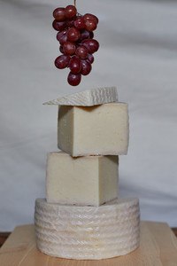 Maraetotara Manchego Sheep Dairy