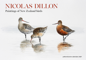 Products: 2027 Nicolas Dillon Paintings of New Zealand Birds Calendar