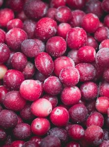Cranberry: 1 kg Frozen Cranberries Available Cranberries Westland