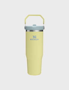 The Iceflow Flip Straw Tumbler 30oz Pomelo