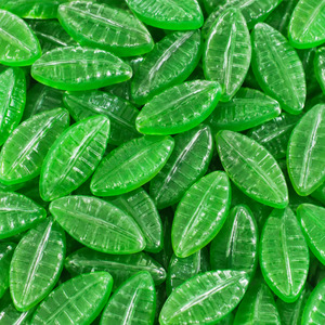 Best Sellers: Rainbow Spearmint Leaves