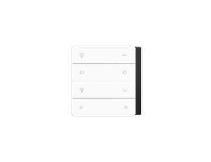 Rainier Multi-Channel Wall Controller