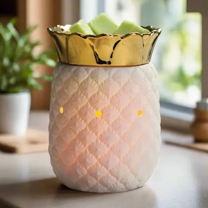 Products: Electric warmer (large) - Pineapple Cre8tive-Gems