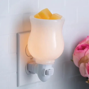 Products: Electric mini plug in warmer - Moonstone Cre8tive-Gems
