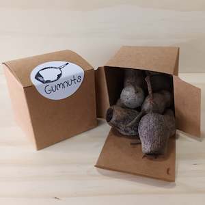 Create Your Own Collage Box: Gumnuts