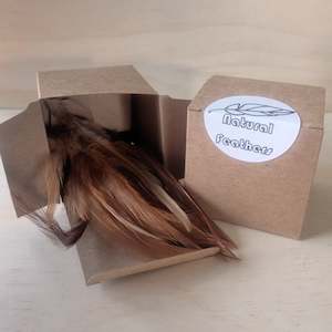 Create Your Own Collage Box: Natural Feathers