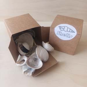 Create Your Own Collage Box: Shells