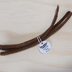 Create Your Own Collage Box: Norfolk Pine Fronds