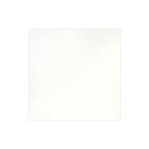 Products: 12x12 Stardust White Solid Cardstock (10/pk) website
