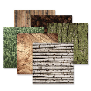 Products: Deeper in the Woods Texture Paper Pack (12/pk) website