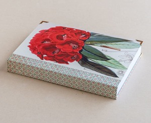 Products: A5 jotter – rhododendron – red
