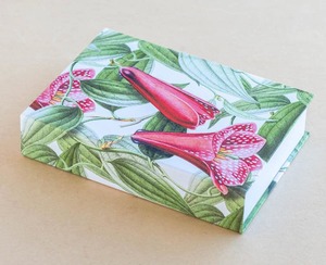 Jotter Pad – Lillies Pink