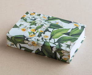 Jotter Pad – Orange Blossom