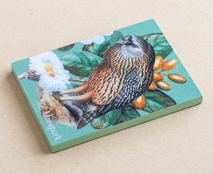 Products: Fridge Magnet – Morepork