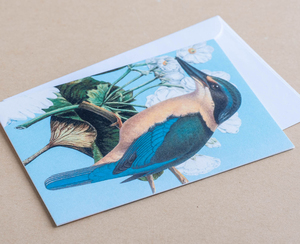 Products: Greeting Card – Kingfisher