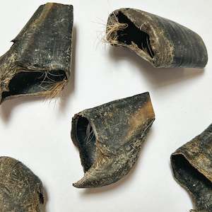 Treats: Venison Hoof Nail