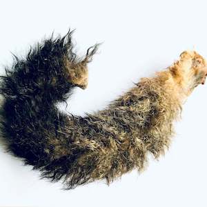 Treats: Full Fur Possum Tail