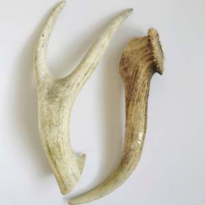 Treats: Deer Antler - Large