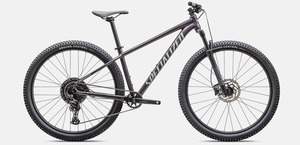Bikes: 2026 Rockhopper Comp 29
