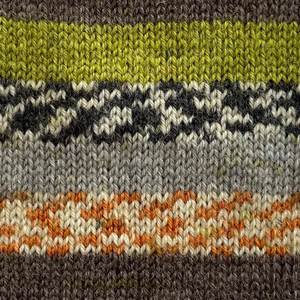 Crucci 4ply Sock Yarn Shade 16