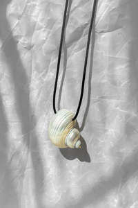 Turbo Shell Necklace