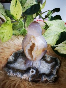 Products: Agate Druzi Penguin (High Quality) CrystaLandnz