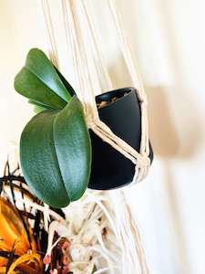 Macrame Plant Hangers: Macrame Plant / Wall Hanger.