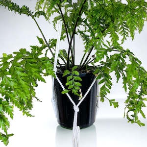 Macrame Plant Hangers: Macrame Plant Hanger 5