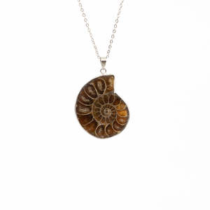 Ammonites: Ammonite Pendant