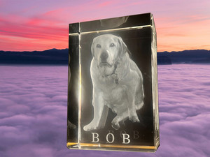 Products: Pets, Anniversary or Memorials 3D Rectangle Shaped Crystal - several sizes and suitable for any photo